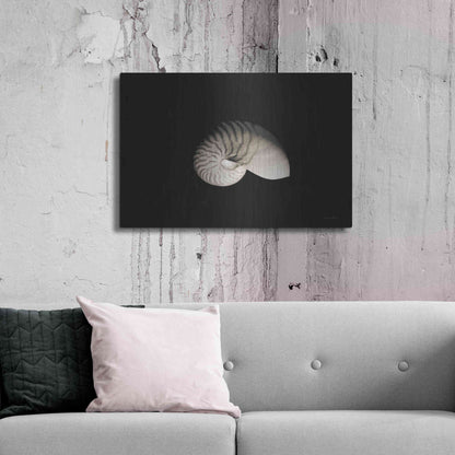Luxe Metal Art 'Nautilus I' by Debra Van Swearingen, Metal Wall Art,36x24