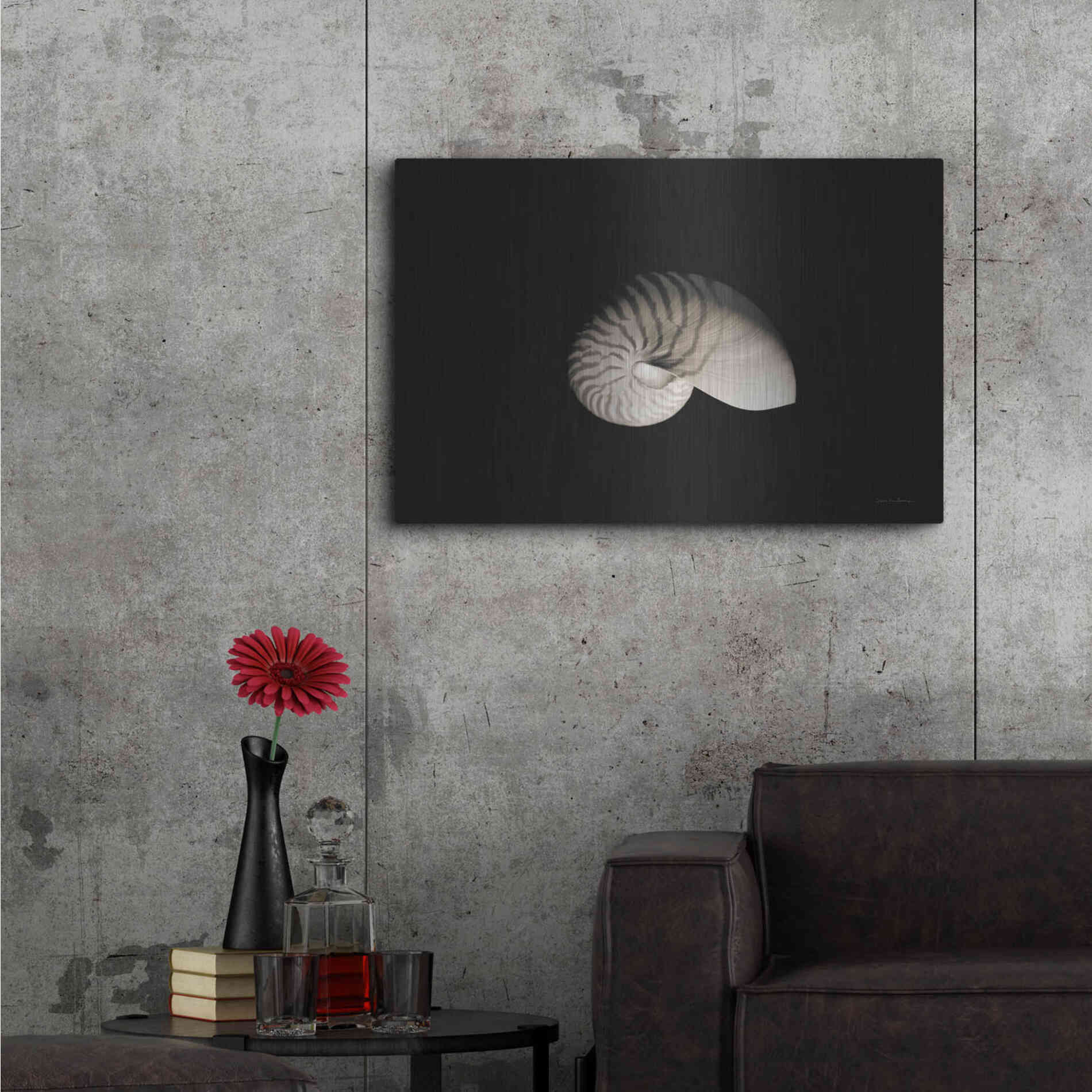 Luxe Metal Art 'Nautilus I' by Debra Van Swearingen, Metal Wall Art,36x24