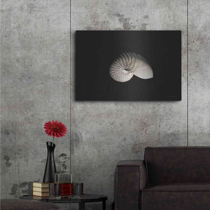 Luxe Metal Art 'Nautilus I' by Debra Van Swearingen, Metal Wall Art,36x24