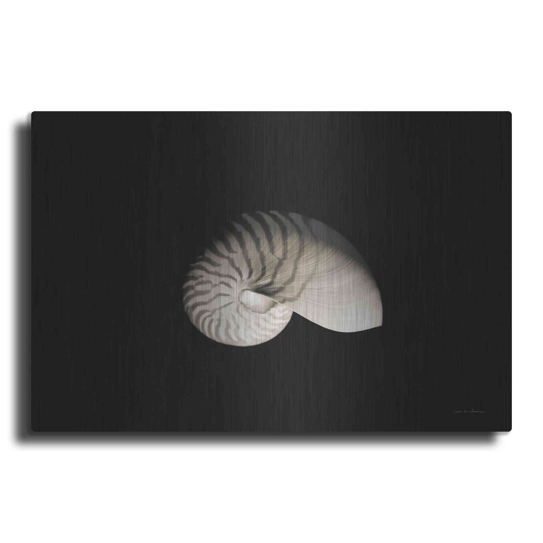 Luxe Metal Art 'Nautilus I' by Debra Van Swearingen, Metal Wall Art