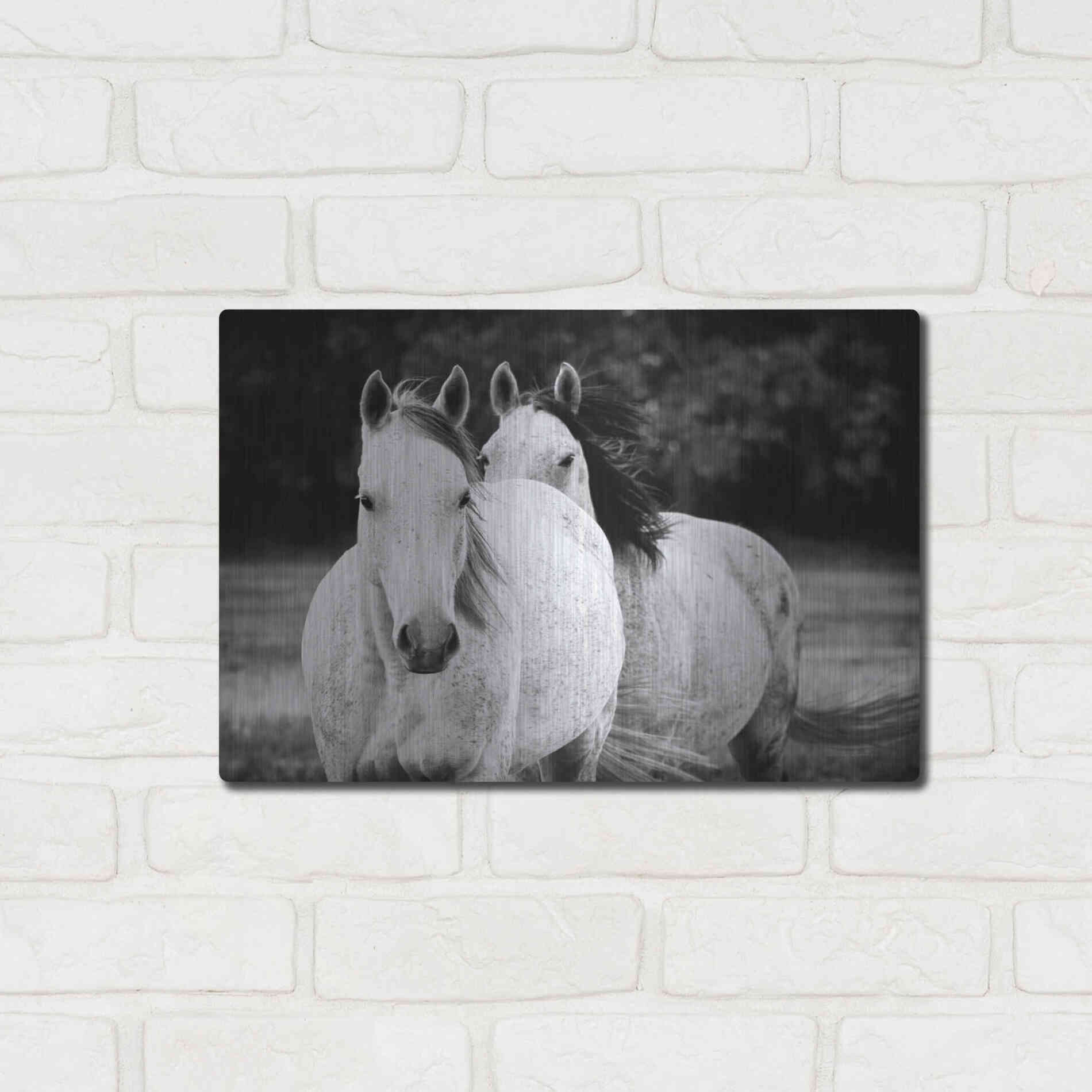 Luxe Metal Art 'Two Wild Horses BW' by Debra Van Swearingen, Metal Wall Art,16x12