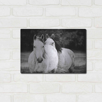Luxe Metal Art 'Two Wild Horses BW' by Debra Van Swearingen, Metal Wall Art,16x12
