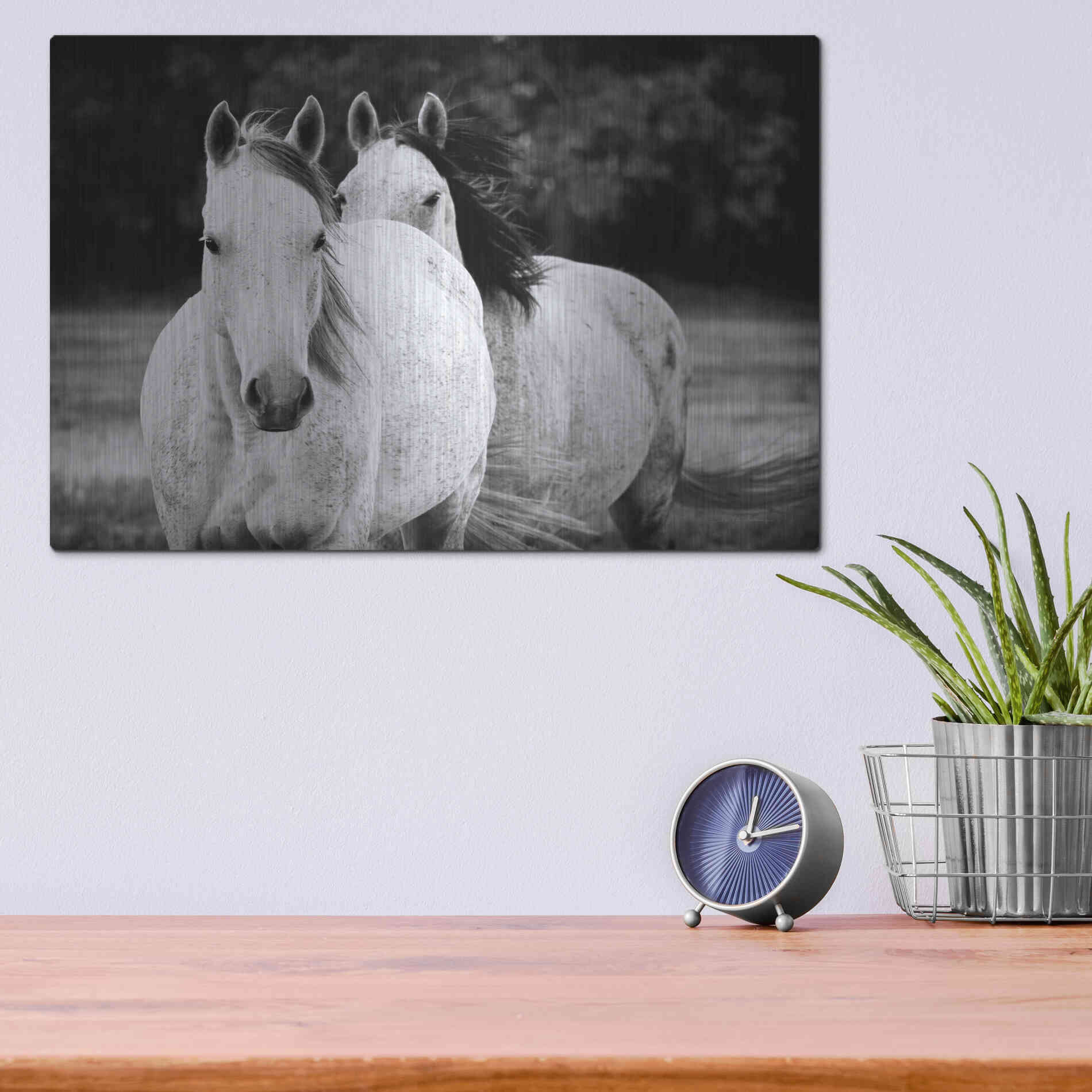 Luxe Metal Art 'Two Wild Horses BW' by Debra Van Swearingen, Metal Wall Art,16x12