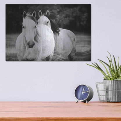 Luxe Metal Art 'Two Wild Horses BW' by Debra Van Swearingen, Metal Wall Art,16x12