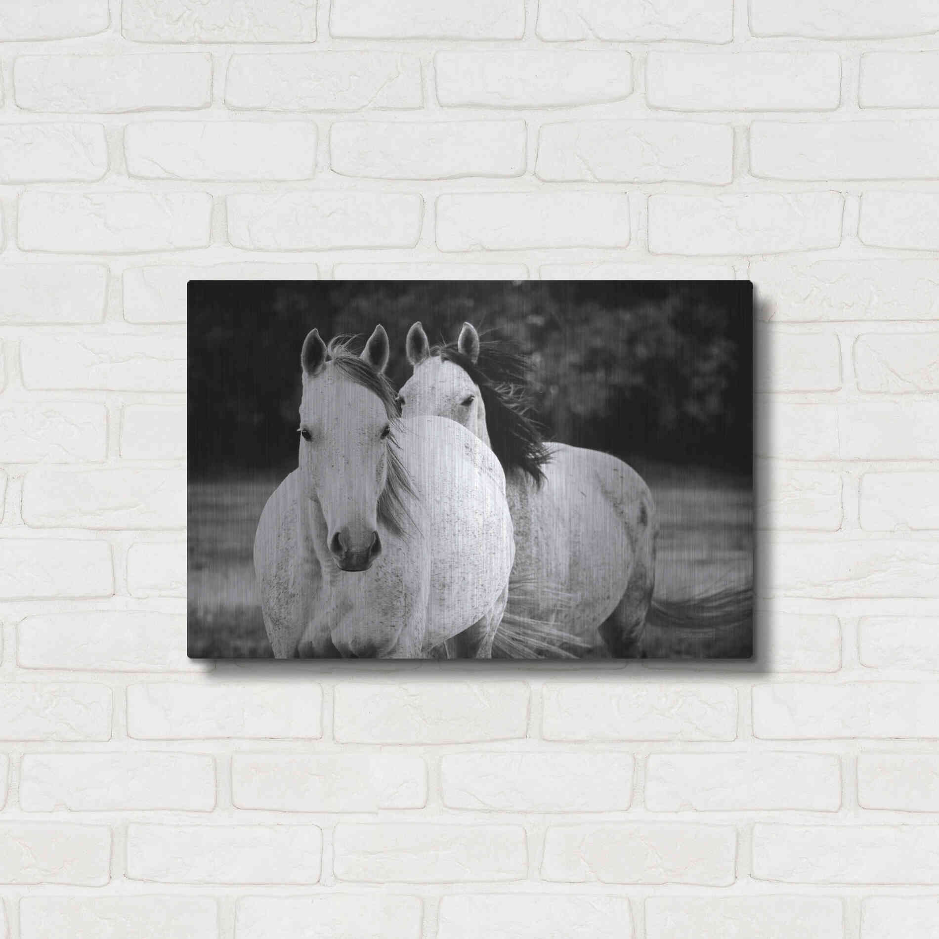 Luxe Metal Art 'Two Wild Horses BW' by Debra Van Swearingen, Metal Wall Art,24x16