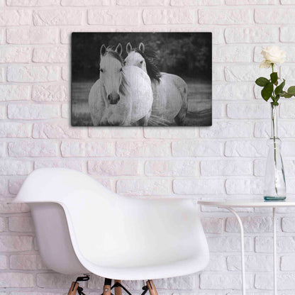 Luxe Metal Art 'Two Wild Horses BW' by Debra Van Swearingen, Metal Wall Art,24x16