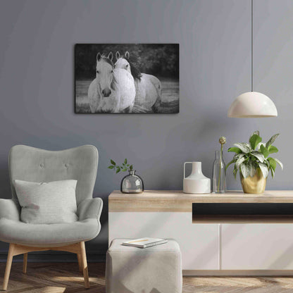 Luxe Metal Art 'Two Wild Horses BW' by Debra Van Swearingen, Metal Wall Art,24x16