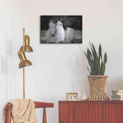 Luxe Metal Art 'Two Wild Horses BW' by Debra Van Swearingen, Metal Wall Art,24x16