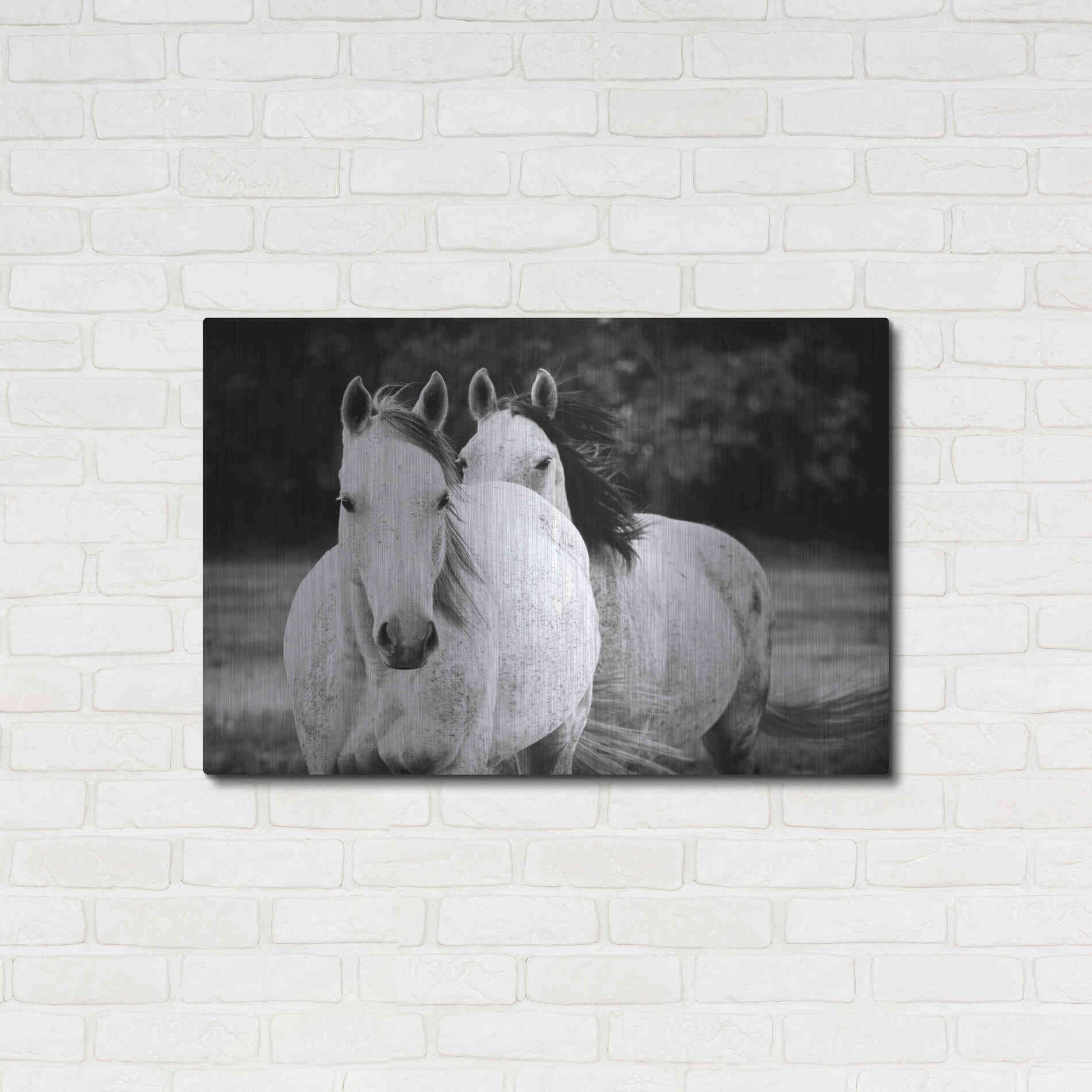 Luxe Metal Art 'Two Wild Horses BW' by Debra Van Swearingen, Metal Wall Art,36x24