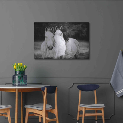 Luxe Metal Art 'Two Wild Horses BW' by Debra Van Swearingen, Metal Wall Art,36x24