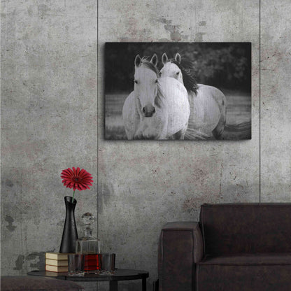 Luxe Metal Art 'Two Wild Horses BW' by Debra Van Swearingen, Metal Wall Art,36x24