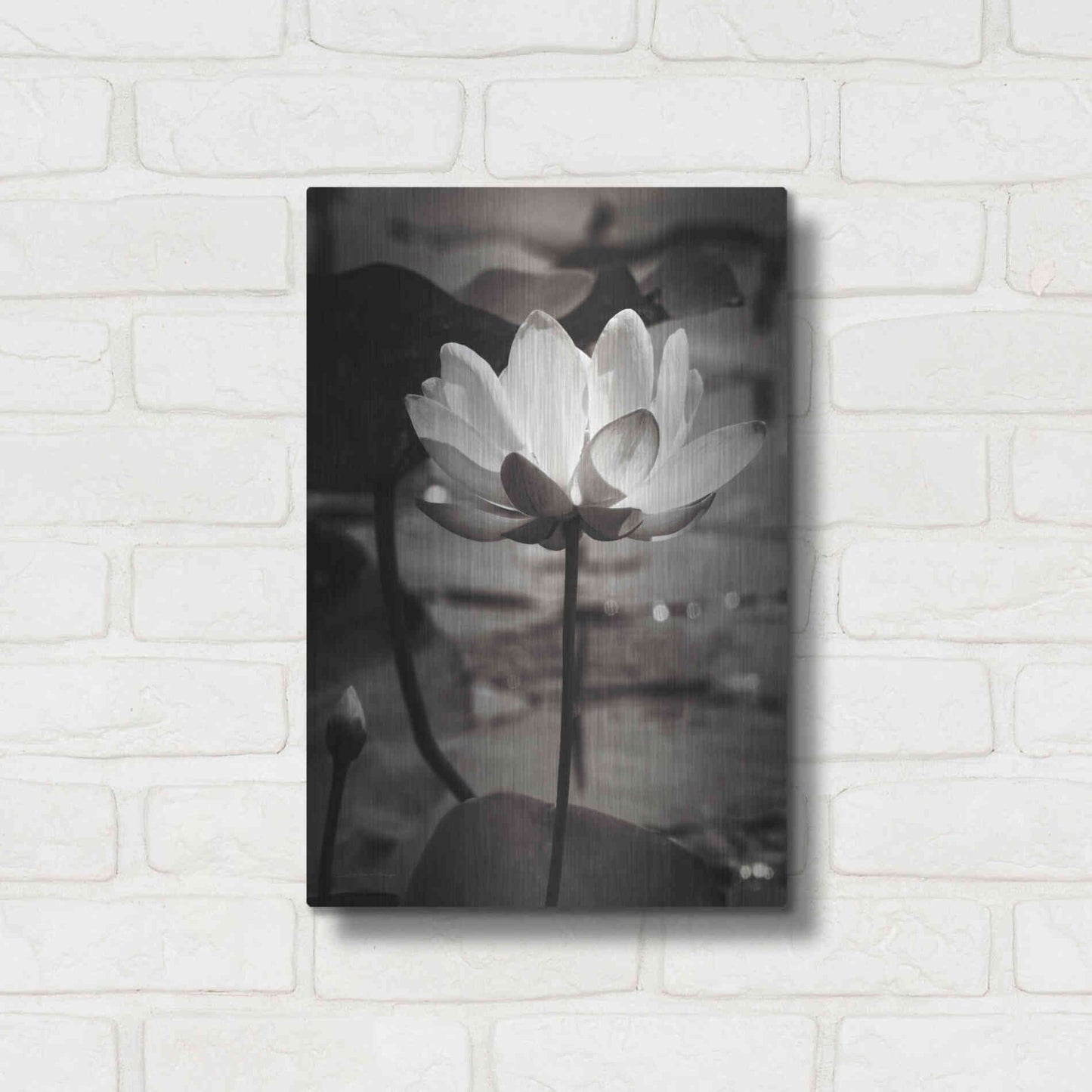 Luxe Metal Art 'Lotus Flower IX' by Debra Van Swearingen, Metal Wall Art,12x16