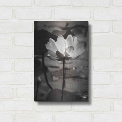 Luxe Metal Art 'Lotus Flower IX' by Debra Van Swearingen, Metal Wall Art,12x16