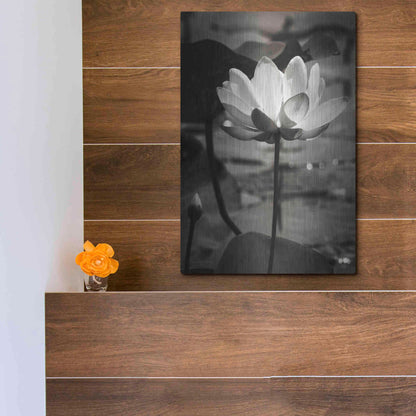 Luxe Metal Art 'Lotus Flower IX' by Debra Van Swearingen, Metal Wall Art,12x16