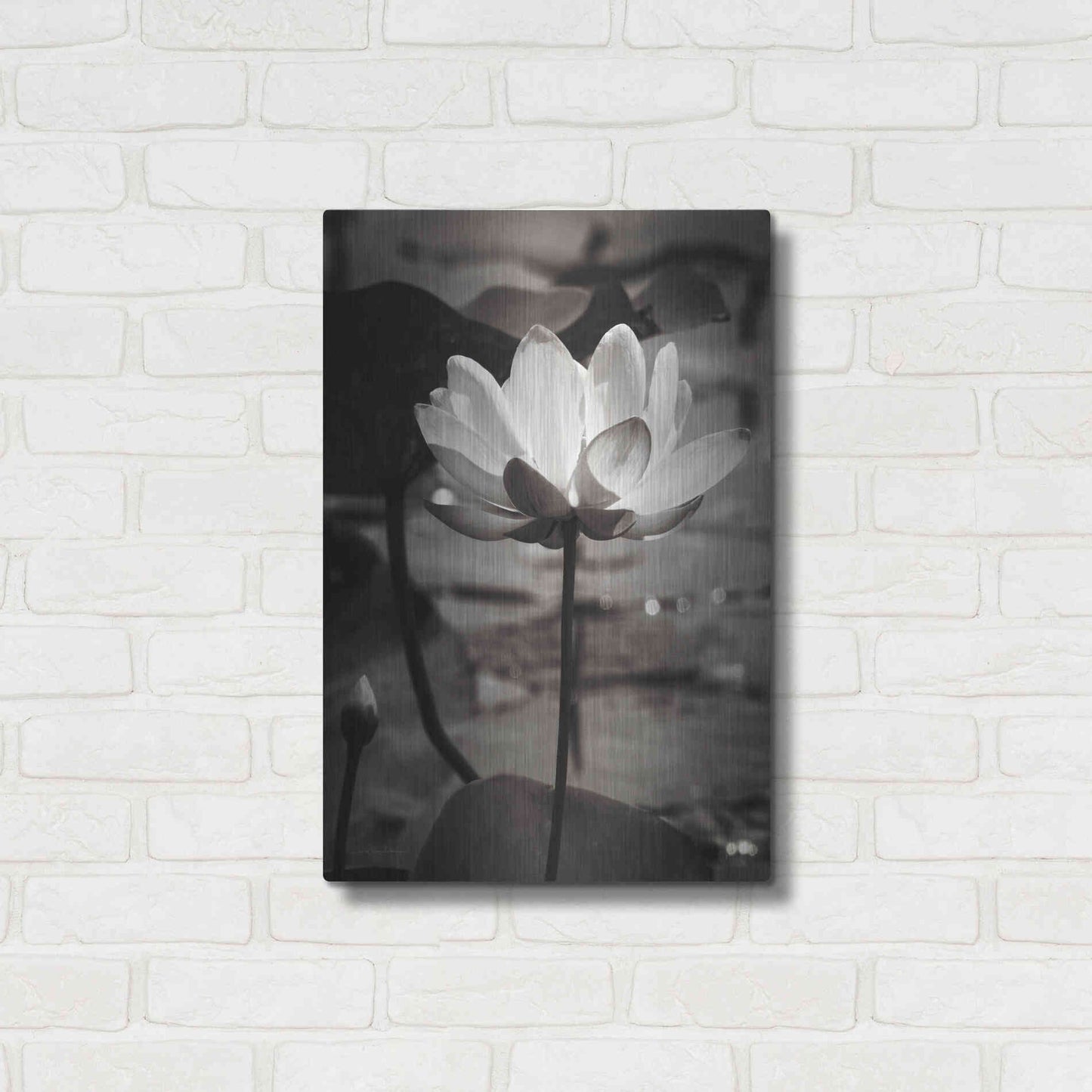 Luxe Metal Art 'Lotus Flower IX' by Debra Van Swearingen, Metal Wall Art,16x24