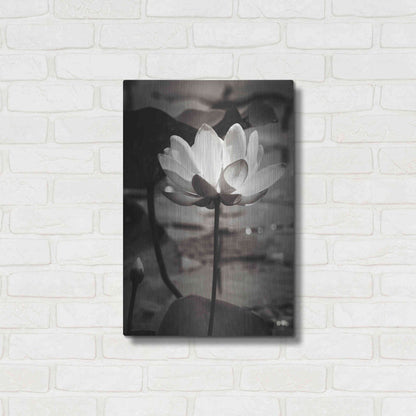 Luxe Metal Art 'Lotus Flower IX' by Debra Van Swearingen, Metal Wall Art,16x24