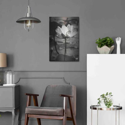 Luxe Metal Art 'Lotus Flower IX' by Debra Van Swearingen, Metal Wall Art,16x24