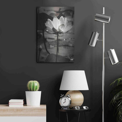 Luxe Metal Art 'Lotus Flower IX' by Debra Van Swearingen, Metal Wall Art,16x24