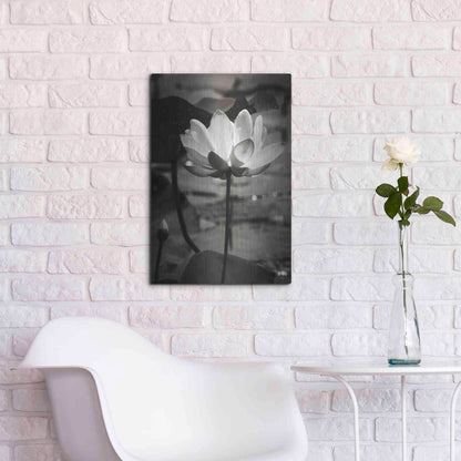 Luxe Metal Art 'Lotus Flower IX' by Debra Van Swearingen, Metal Wall Art,16x24