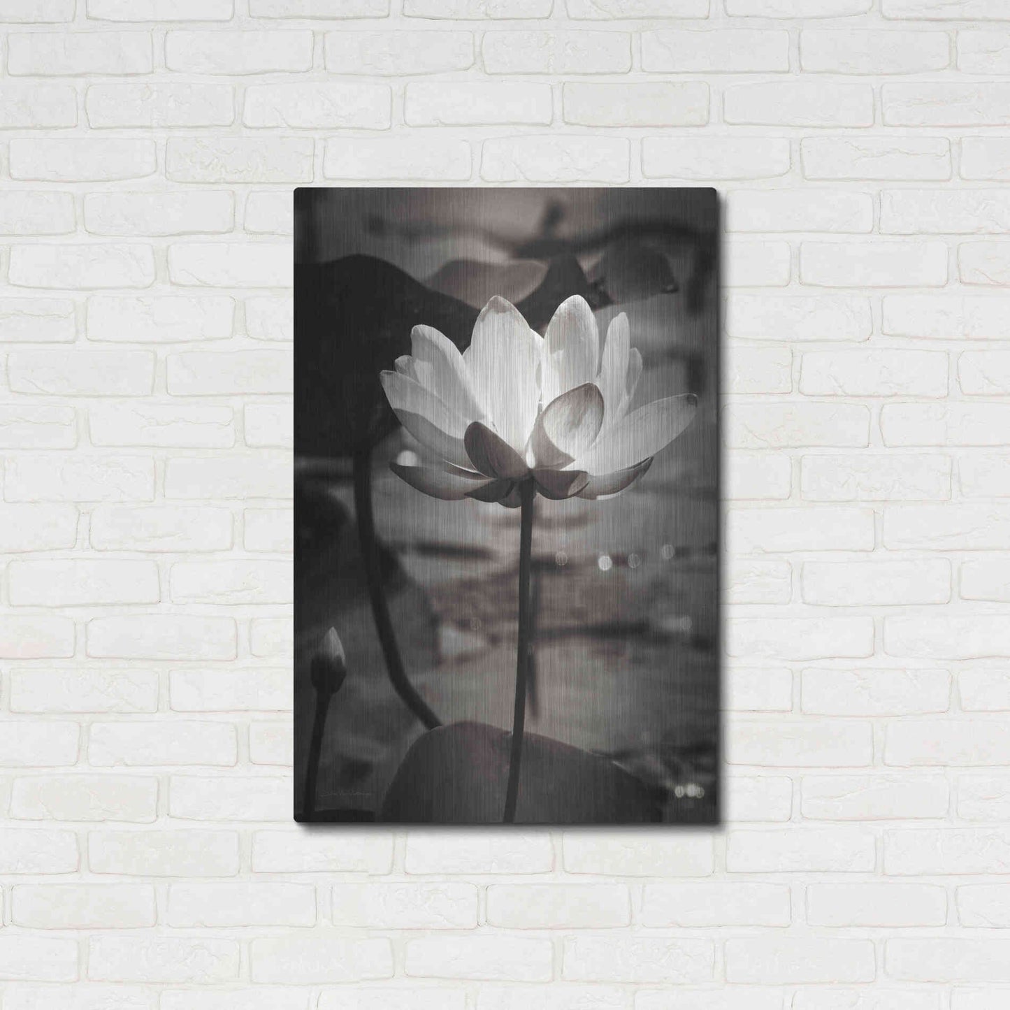 Luxe Metal Art 'Lotus Flower IX' by Debra Van Swearingen, Metal Wall Art,24x36