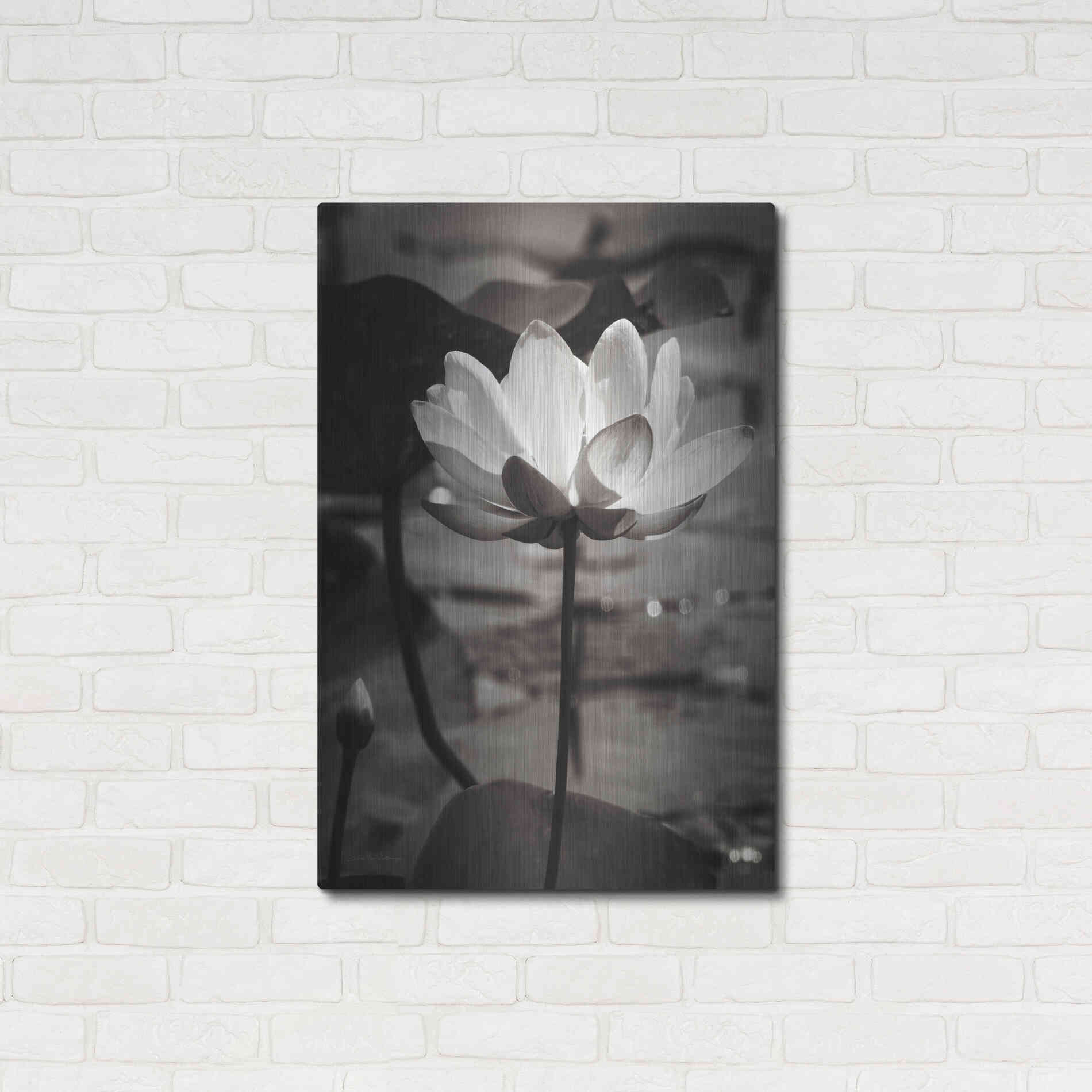 Luxe Metal Art 'Lotus Flower IX' by Debra Van Swearingen, Metal Wall Art,24x36