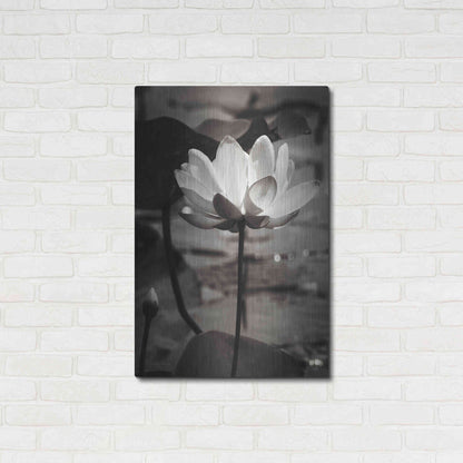 Luxe Metal Art 'Lotus Flower IX' by Debra Van Swearingen, Metal Wall Art,24x36