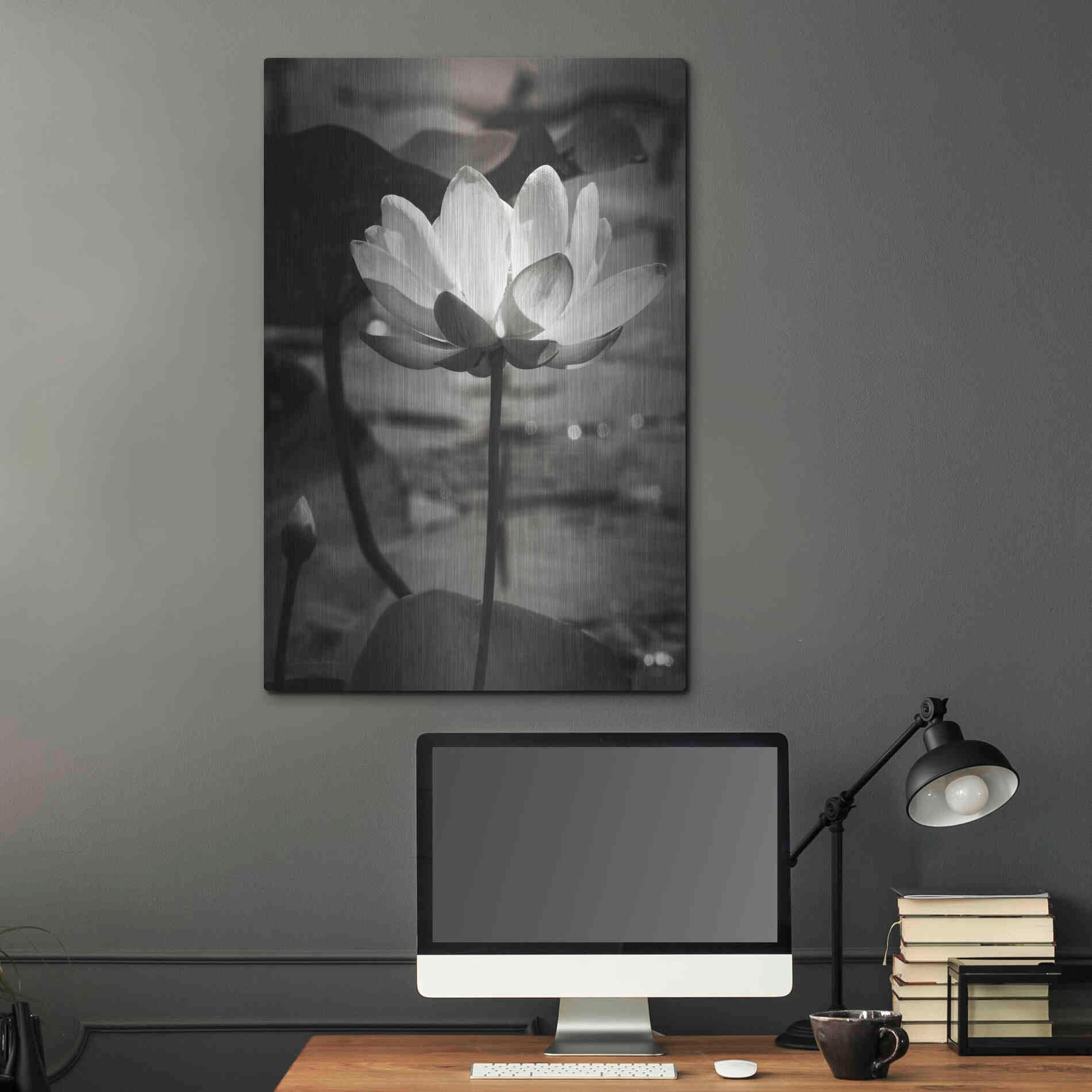 Luxe Metal Art 'Lotus Flower IX' by Debra Van Swearingen, Metal Wall Art,24x36