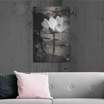 Luxe Metal Art 'Lotus Flower IX' by Debra Van Swearingen, Metal Wall Art,24x36