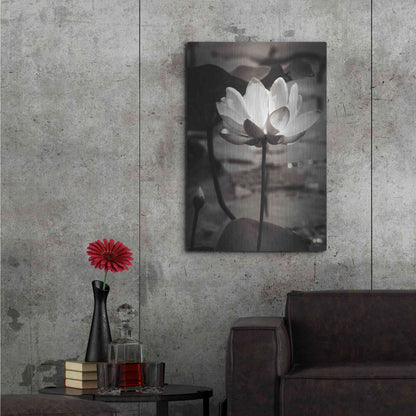 Luxe Metal Art 'Lotus Flower IX' by Debra Van Swearingen, Metal Wall Art,24x36