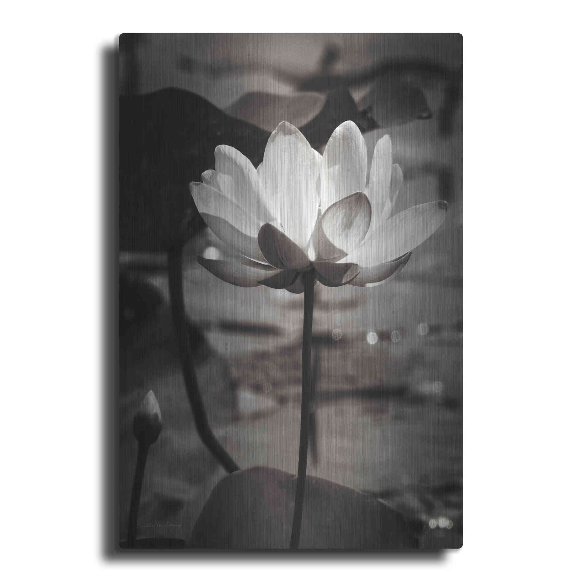 Luxe Metal Art 'Lotus Flower IX' by Debra Van Swearingen, Metal Wall Art