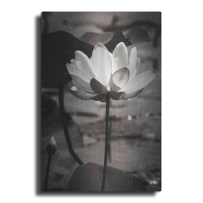 Luxe Metal Art 'Lotus Flower IX' by Debra Van Swearingen, Metal Wall Art