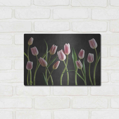 Luxe Metal Art 'Spring Tulips IX' by Debra Van Swearingen, Metal Wall Art,16x12