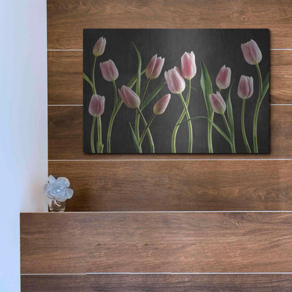 Luxe Metal Art 'Spring Tulips IX' by Debra Van Swearingen, Metal Wall Art,16x12