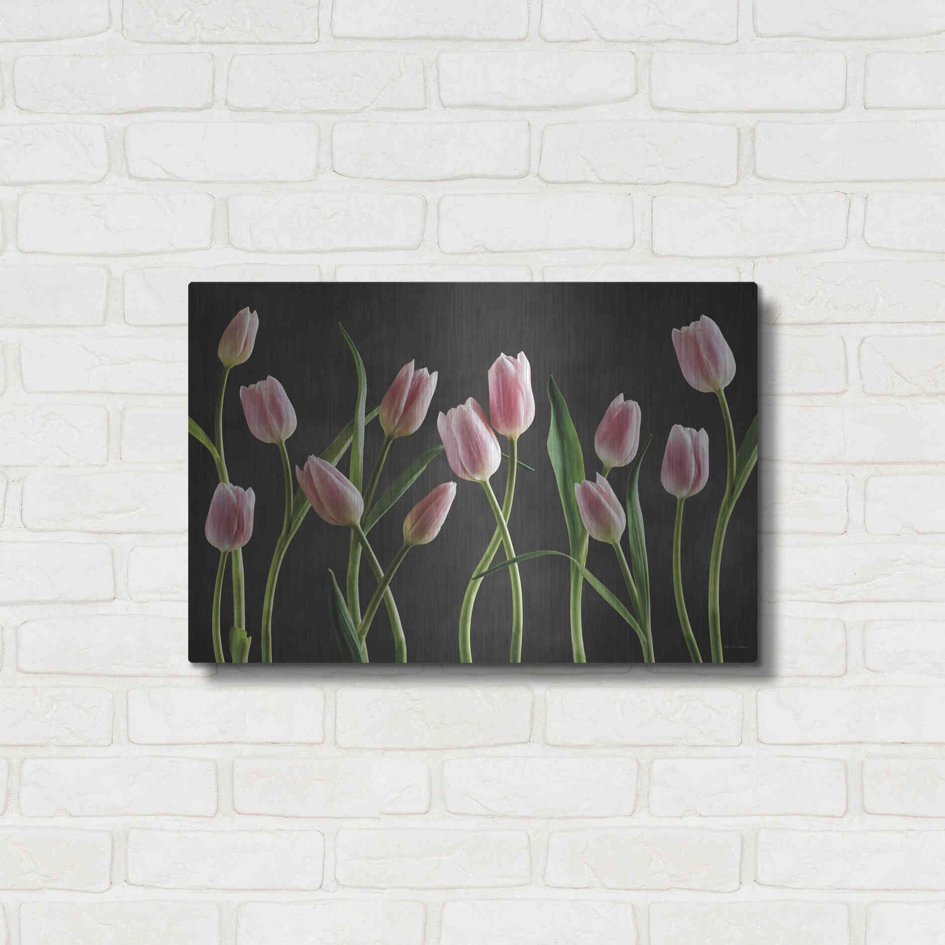 Luxe Metal Art 'Spring Tulips IX' by Debra Van Swearingen, Metal Wall Art,24x16