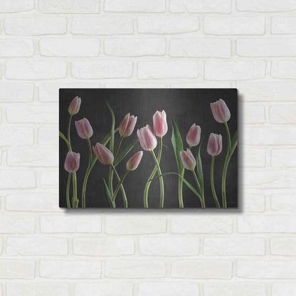 Luxe Metal Art 'Spring Tulips IX' by Debra Van Swearingen, Metal Wall Art,24x16