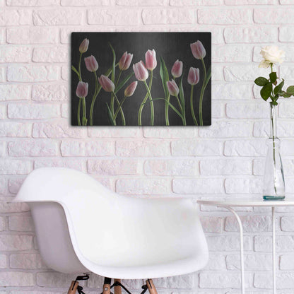 Luxe Metal Art 'Spring Tulips IX' by Debra Van Swearingen, Metal Wall Art,24x16