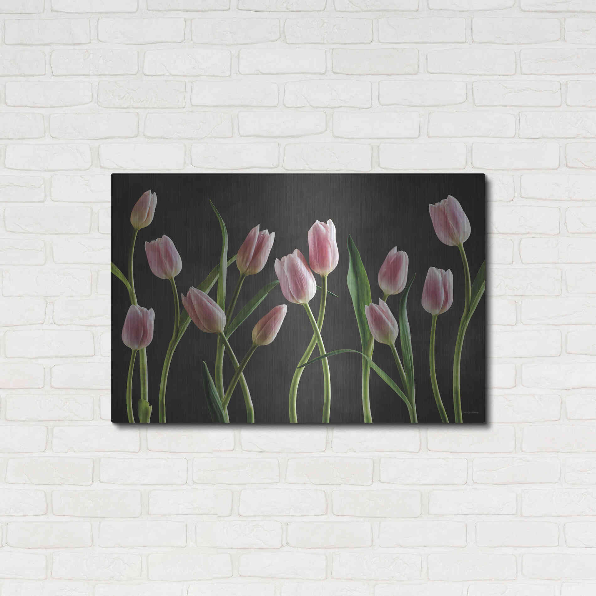 Luxe Metal Art 'Spring Tulips IX' by Debra Van Swearingen, Metal Wall Art,36x24