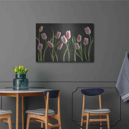 Luxe Metal Art 'Spring Tulips IX' by Debra Van Swearingen, Metal Wall Art,36x24