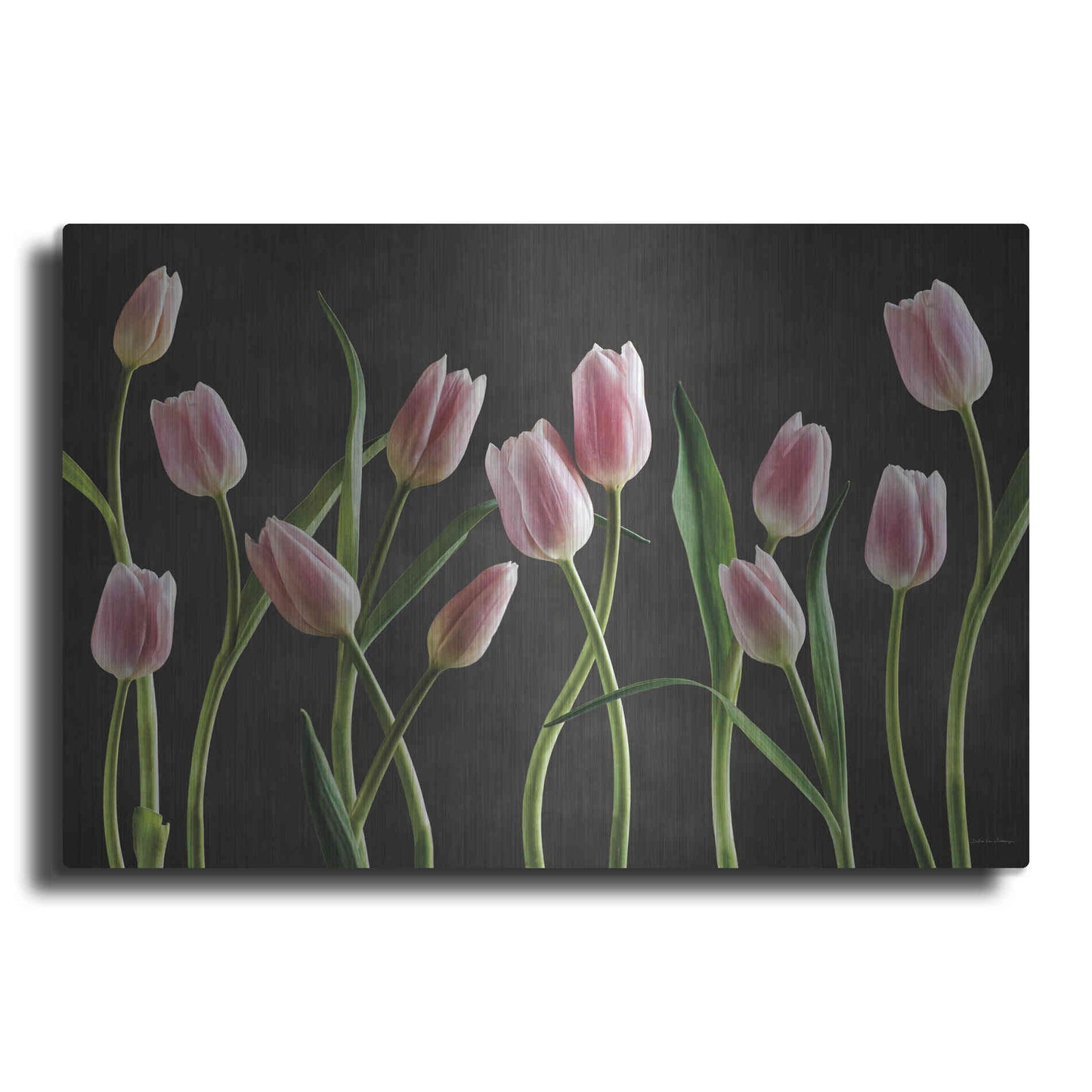 Luxe Metal Art 'Spring Tulips IX' by Debra Van Swearingen, Metal Wall Art