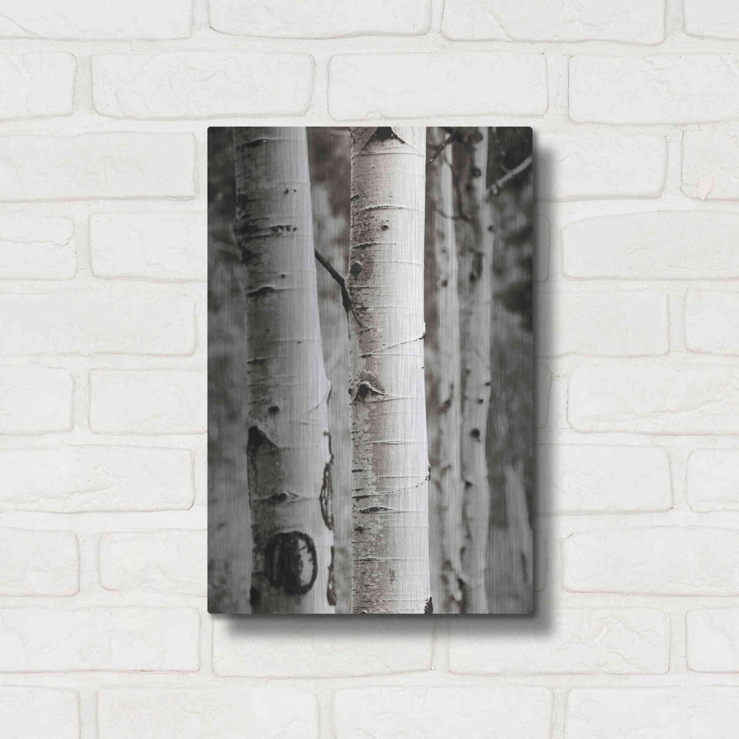 Luxe Metal Art 'Aspens I' by Debra Van Swearingen, Metal Wall Art,12x16