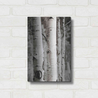 Luxe Metal Art 'Aspens I' by Debra Van Swearingen, Metal Wall Art,12x16