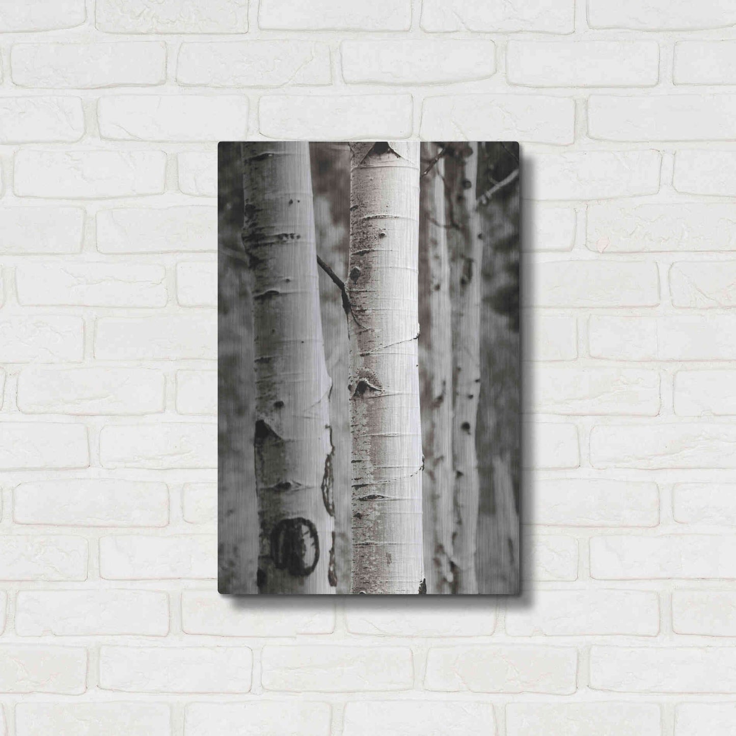 Luxe Metal Art 'Aspens I' by Debra Van Swearingen, Metal Wall Art,16x24