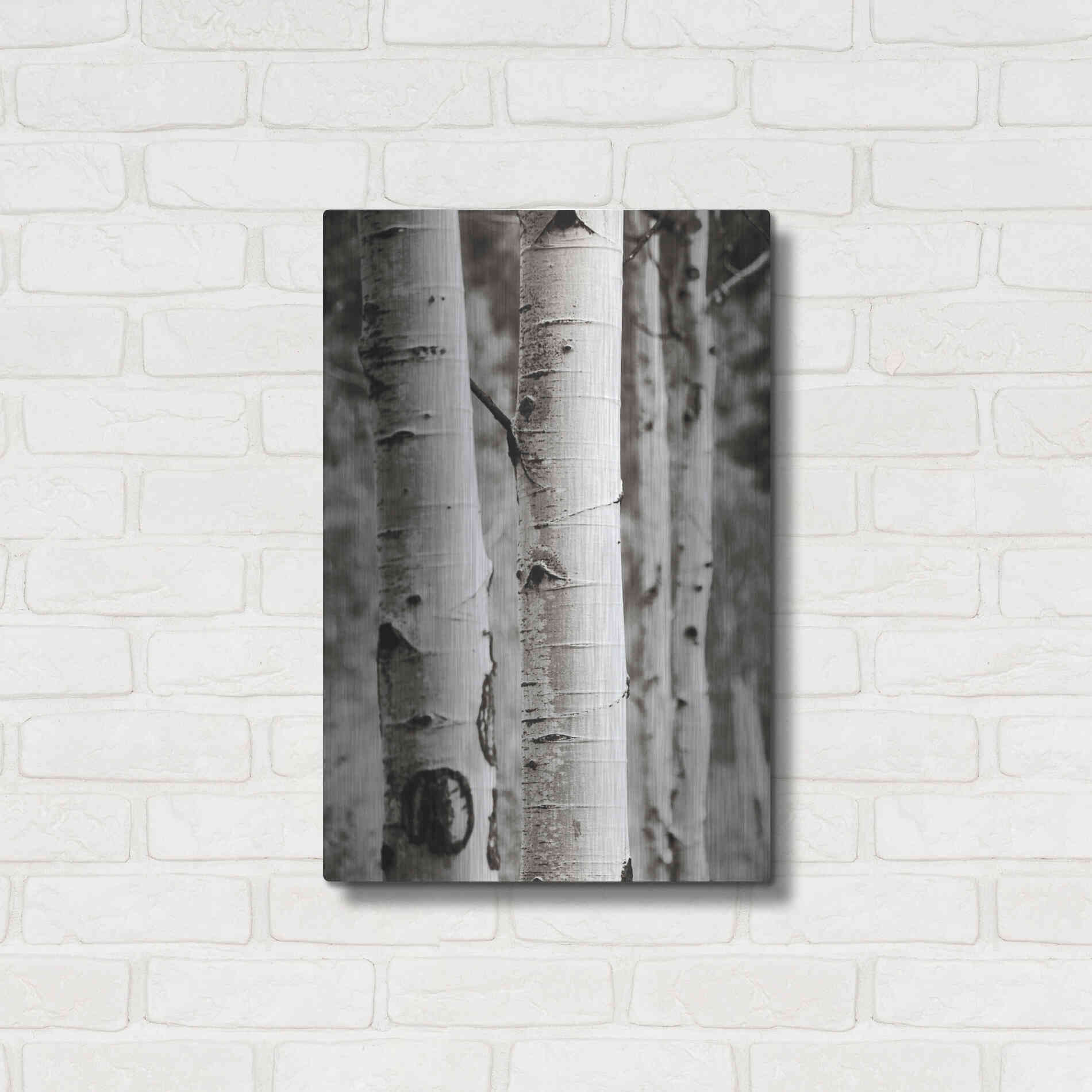 Luxe Metal Art 'Aspens I' by Debra Van Swearingen, Metal Wall Art,16x24