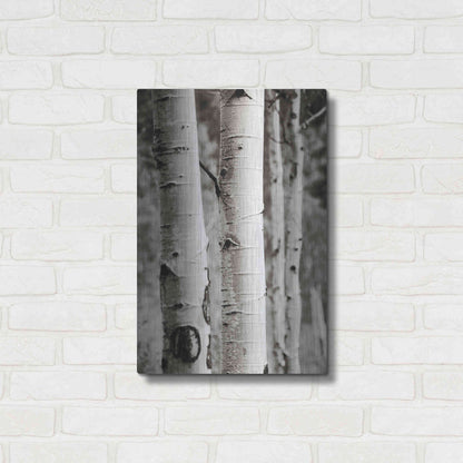 Luxe Metal Art 'Aspens I' by Debra Van Swearingen, Metal Wall Art,16x24