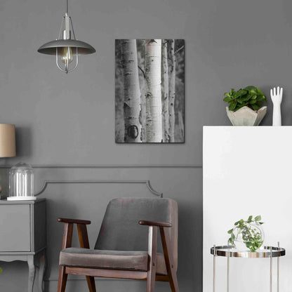 Luxe Metal Art 'Aspens I' by Debra Van Swearingen, Metal Wall Art,16x24