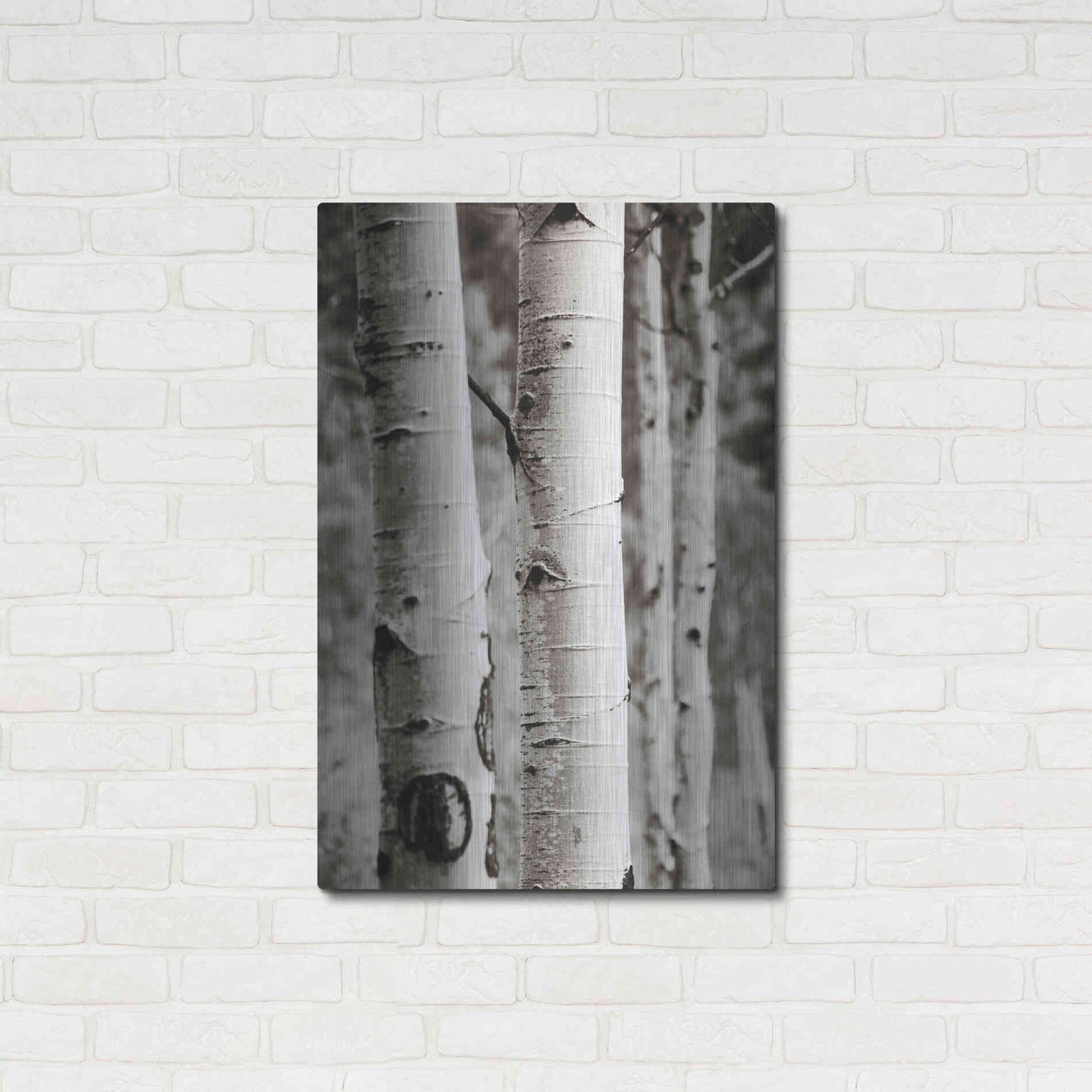 Luxe Metal Art 'Aspens I' by Debra Van Swearingen, Metal Wall Art,24x36