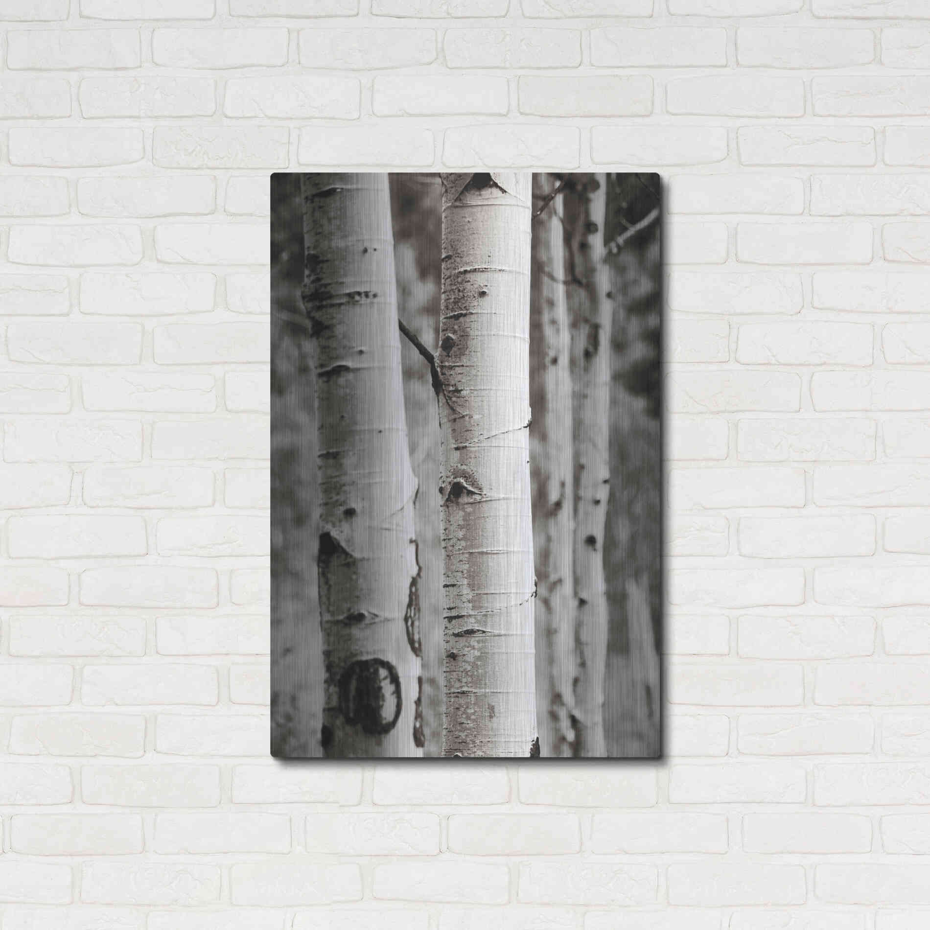 Luxe Metal Art 'Aspens I' by Debra Van Swearingen, Metal Wall Art,24x36