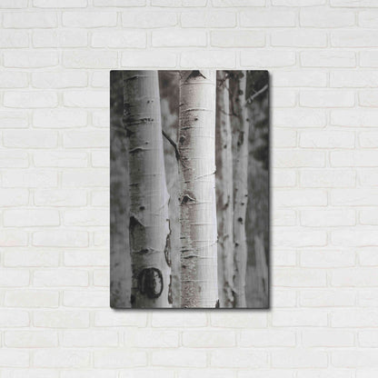 Luxe Metal Art 'Aspens I' by Debra Van Swearingen, Metal Wall Art,24x36