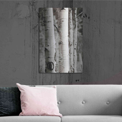 Luxe Metal Art 'Aspens I' by Debra Van Swearingen, Metal Wall Art,24x36
