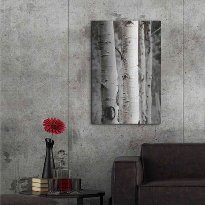 Luxe Metal Art 'Aspens I' by Debra Van Swearingen, Metal Wall Art,24x36